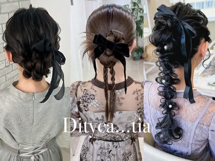 ディティカ ティア(Dityca tia)の写真