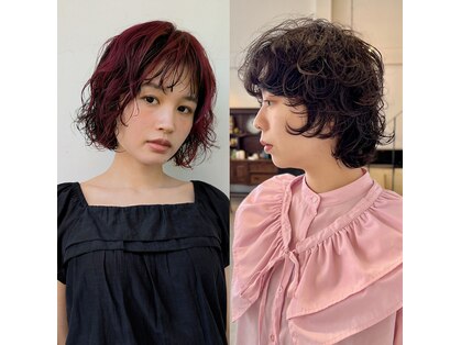 アンジェリカ(Angelica)の写真