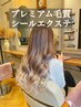 【バージン毛100%】カラー&シールエクステ80枚《プレミアム》エクカット込