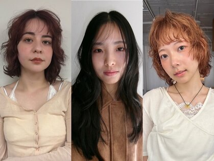 バド(bado)の写真