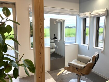 ハチ(Hachi)の写真