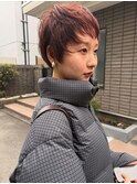 【柏原良亮】レイヤーショート×ボルドルビー