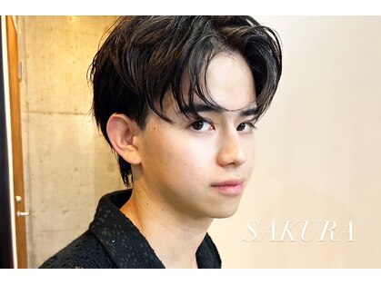 サクラ オモテサンドウ(SAKURA)の写真