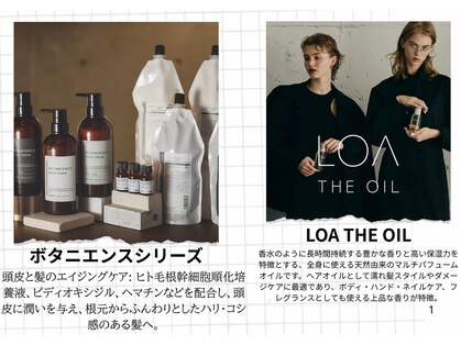 ゼン(zen)の写真