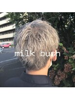 ミルクブッシュ(MILK BUSH) white color