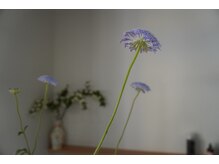 癒しの空間と理想のヘア - uood