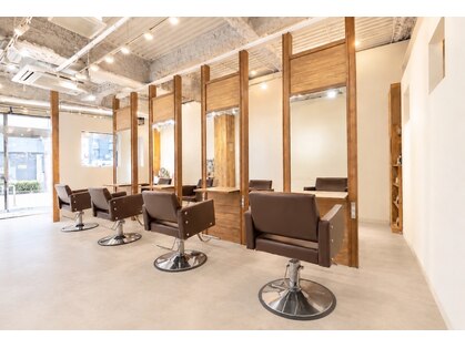 ルートヘアー(Root Hair)の写真