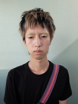 チクロヘアー(Ticro hair) デザインカラー