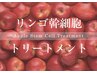 【リンゴ祭り】ダメージ1／3酢酸カラー&髪質改善リンゴ幹細胞トリートメント