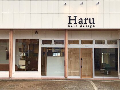 ハル(Haru)の写真