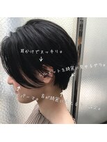 ザビューティールーム(THE BEAUTY ROOM) 【 issue. 】ー Explanation hair (1) ー 