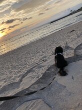 リル おもろまち店(Lille)&nbsp;Belle 