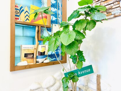 カマカ(KAMAKA)の写真