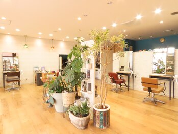 スピカヘアー(spica hair)の写真/広々店内で周りを気にせずゆったり過ごせる◎忙しい日々を忘れて過ごす癒しのサロンタイム☆