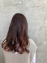 アラモア 国立(Alamoa)&nbsp;ココアブラウン×インナー オレンジチョコレート