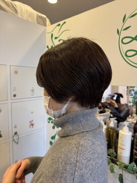 ルッカランス 王子店(Lucca Lance) 12月 ミニマムショート