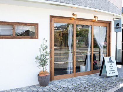 ベゴニアプラス(BEGONIA+)の写真