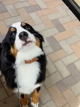 ヘアーデザイン グロウ(hair design Grow)&nbsp;coco 