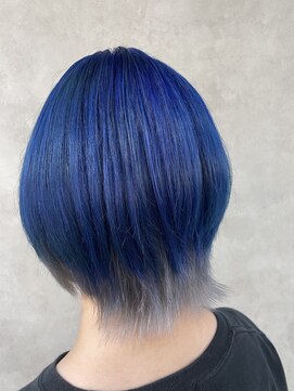 ターフタカサキディエル(TURF TAKASAKI D.L) シルバーインナーカラー×ブルー