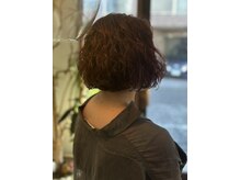 ジャービスヘアー(Jervis hair)