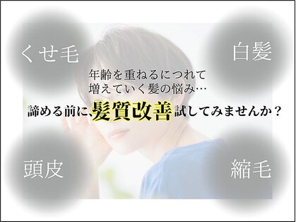 スクエアー(SQUARE)の写真