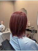 切りっぱなしミディアムチェリーブラウンダブルカラーブリーチ