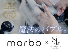 シュテルンジュウジョウ(sternjujo)の雰囲気(《marrb》“薬剤を使わない”髪質改善!頭皮も髪も同時にケア)