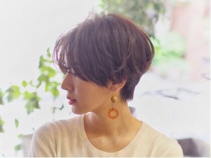 イロ(Ilo)の写真