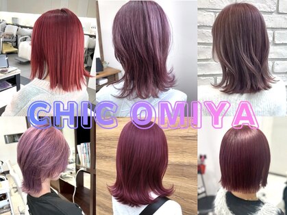 シック 大宮西口(CHIC)の写真