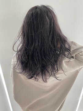 スティードトーキョー(Steed Tokyo) secret highlight"lavender grege"【Steed/立川】