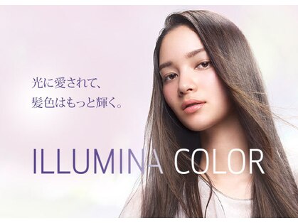 ミッケ バイ ミラーズ(Mikke by Miroirs)の写真