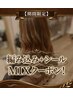 【限定】58ｃｍ編み込み×シールMIXメニュー50ｇ(30本)50枚￥24250→￥21500