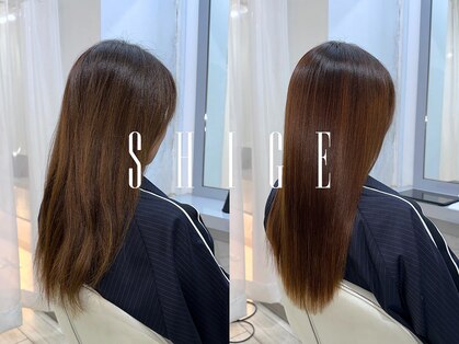 シゲ 自由が丘店(SHIGE)の写真