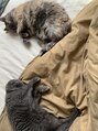 ルアン(Luan) おはぎときなこ。動物全般好きです。