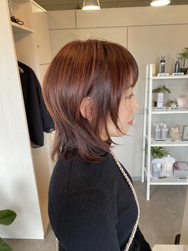 アーチテクトヘア(Architect hair by Eger) メテオカラー×ウルフレイヤー