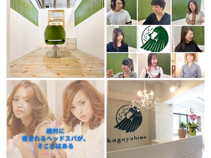 カグヤヒメ(kaguyahime)の写真