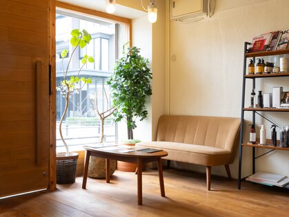 ノック(KNOCK)の写真