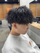 バージョン(Ver.)&nbsp;縦落ちツイスパ