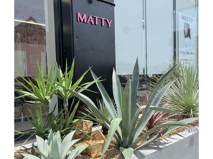 マティー(MATTY)の写真