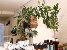 AZ 本店の雰囲気（[落ち着く空間]たくさんの植物があるサロンで癒しのひと時を…♪）