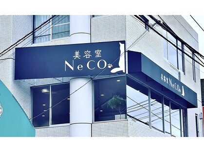 ネコ(NeCO.)の写真