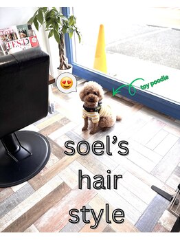 ソエルフォーヘア(soel for hair)の写真/「施術前にこんなに話を聞かれたことない！」と言われるほど、細かく丁寧にカウンセリングします♪