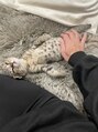 10711 となりの美容室 猫も育ててます