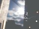 イロ(iro.)の写真