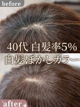 ルルン(Lu-Lun)&nbsp;40代白髪率５％ 白髪ぼかしカラー