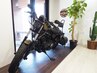 新規歓迎クーポンセット(眉毛カット＆シェービング付き)