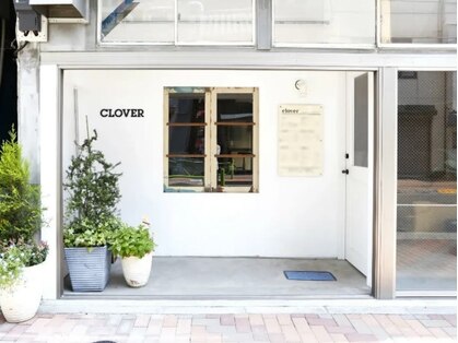 クローバー (Clover)の写真