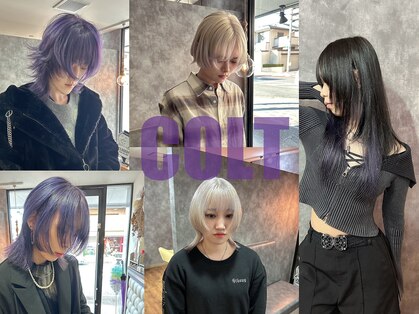 コルト(COLT)の写真