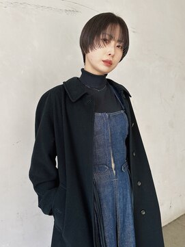 スティードトーキョー(Steed Tokyo) see-through mash【Steed/立川】