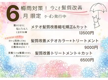 シェノン(CHAINON)